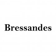 “Bressandes”商标撤销复审案