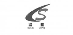 “嵩超SONG CHAO CS及图”商标撤销复审案