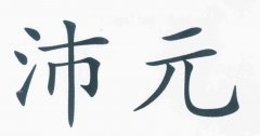 “沛元”商标撤销复审案