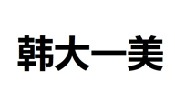 “韩大一美”商标无效宣告