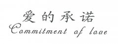 “爱的承诺COMMITMENT OF LOVE”商标撤销复审案