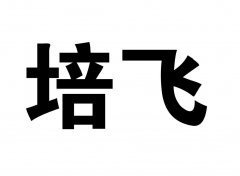 “培飞”商标撤销复审案