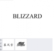 “BLIZZARD”商标驳回复审